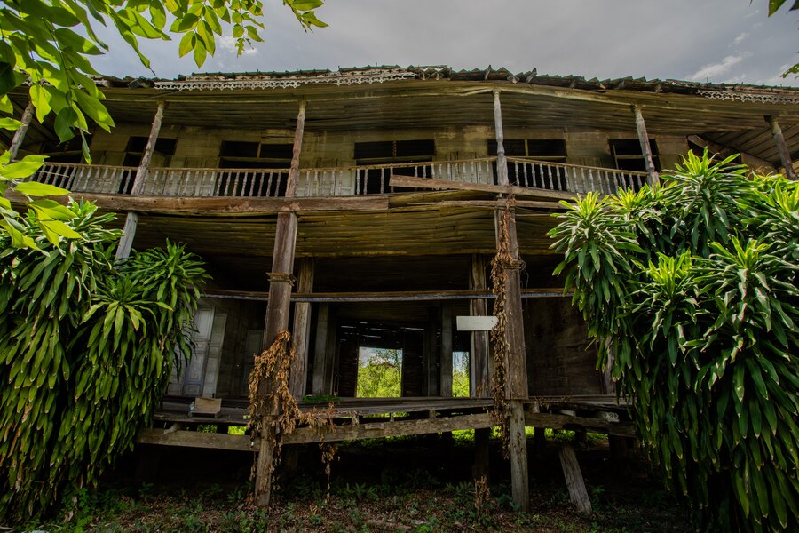 Dominican Tree House Village Samana Peninsula Dominican Republic